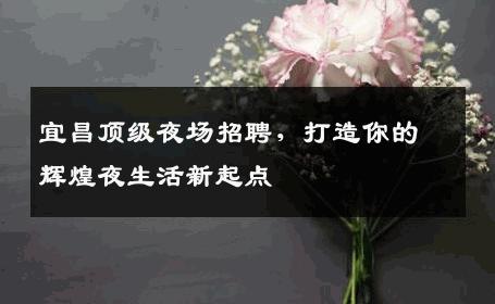 宜昌顶级夜场招聘，打造你的辉煌夜生活新起点