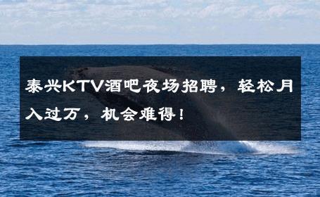 泰兴KTV酒吧夜场招聘，轻松月入过万，机会难得！