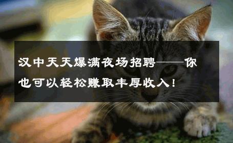 汉中天天爆满夜场招聘——你也可以轻松赚取丰厚收入！