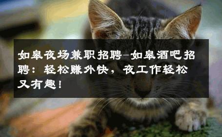 如皋夜场兼职招聘-如皋酒吧招聘：轻松赚外快，夜工作轻松又有趣！