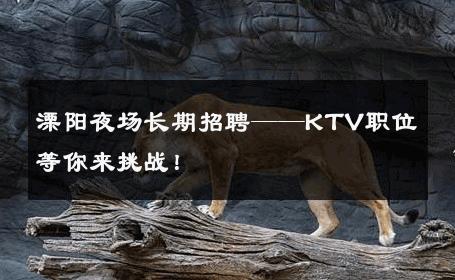 溧阳夜场长期招聘——KTV职位等你来挑战！