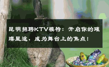 昆明招聘KTV模特：开启你的璀璨星途，成为舞台上的焦点！