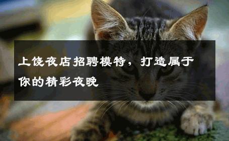 上饶夜店招聘模特，打造属于你的精彩夜晚