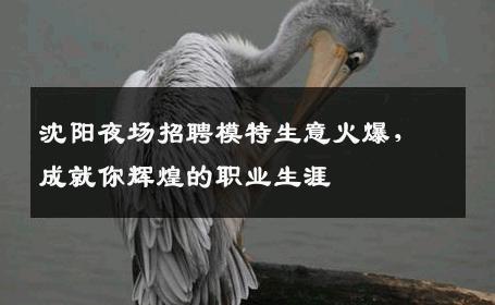 沈阳夜场招聘模特生意火爆，成就你辉煌的职业生涯