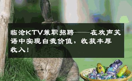 临沧KTV兼职招聘——在欢声笑语中实现自我价值，收获丰厚收入！