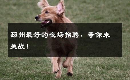 邳州最好的夜场招聘，等你来挑战！