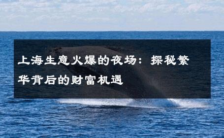 上海生意火爆的夜场：探秘繁华背后的财富机遇
