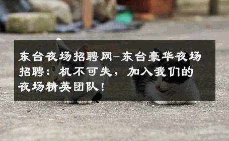 东台夜场招聘网-东台豪华夜场招聘：机不可失，加入我们的夜场精英团队！