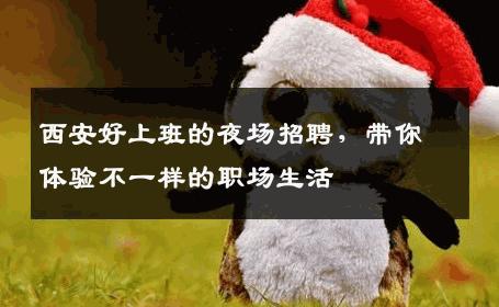 西安好上班的夜场招聘，带你体验不一样的职场生活