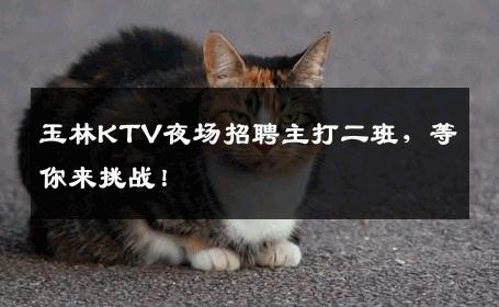 玉林KTV夜场招聘主打二班，等你来挑战！