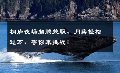 桐庐夜场招聘兼职，月薪轻松过万，等你来挑战！