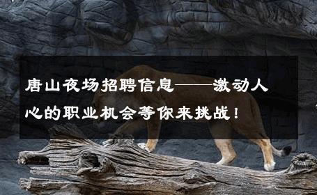 唐山夜场招聘信息——激动人心的职业机会等你来挑战！