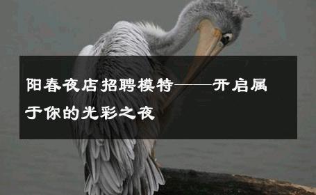 阳春夜店招聘模特——开启属于你的光彩之夜
