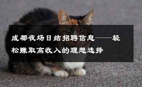 成都夜场日结招聘信息——轻松赚取高收入的理想选择