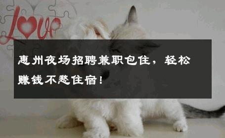惠州夜场招聘兼职包住，轻松赚钱不愁住宿！