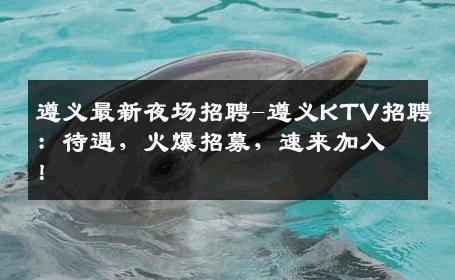 遵义最新夜场招聘-遵义KTV招聘：待遇，火爆招募，速来加入！