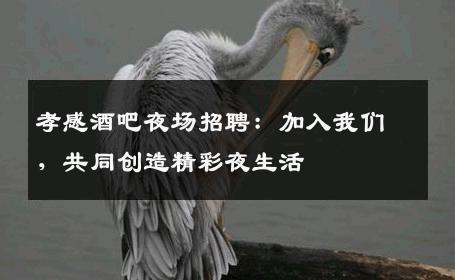孝感酒吧夜场招聘：加入我们，共同创造精彩夜生活