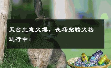 天台生意火爆，夜场招聘火热进行中！