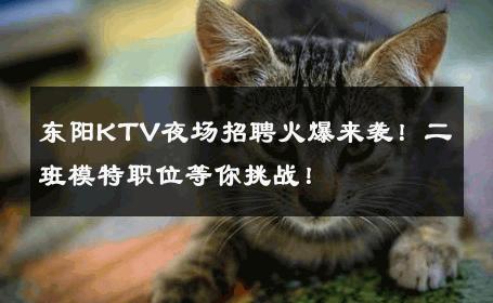 东阳KTV夜场招聘火爆来袭！二班模特职位等你挑战！