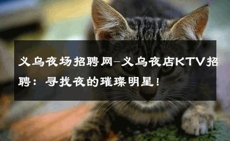 义乌夜场招聘网-义乌夜店KTV招聘：寻找夜的璀璨明星！
