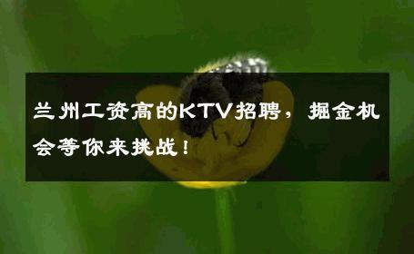 兰州工资高的KTV招聘，掘金机会等你来挑战！