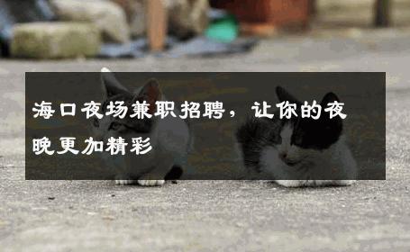 海口夜场兼职招聘，让你的夜晚更加精彩