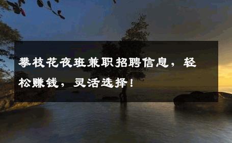 攀枝花夜班兼职招聘信息，轻松赚钱，灵活选择！
