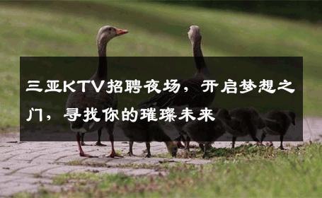 三亚KTV招聘夜场，开启梦想之门，寻找你的璀璨未来