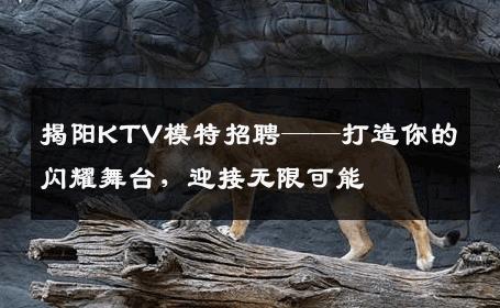 揭阳KTV模特招聘——打造你的闪耀舞台，迎接无限可能