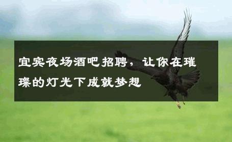 宜宾夜场酒吧招聘，让你在璀璨的灯光下成就梦想
