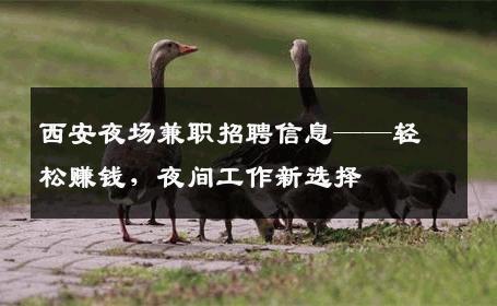西安夜场兼职招聘信息——轻松赚钱，夜间工作新选择