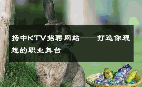 扬中KTV招聘网站——打造你理想的职业舞台