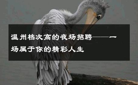 温州档次高的夜场招聘——一场属于你的精彩人生