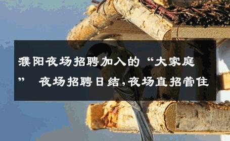 濮阳夜场招聘加入的“大家庭” 夜场招聘日结,夜场直招管住