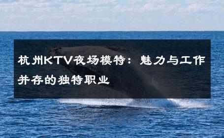 杭州KTV夜场模特：魅力与工作并存的独特职业