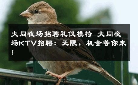 大同夜场招聘礼仪模特-大同夜场KTV招聘：无限，机会等你来！