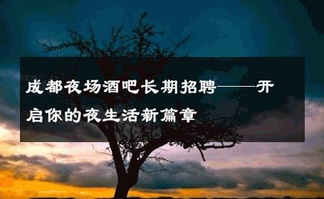 成都夜场酒吧长期招聘——开启你的夜生活新篇章