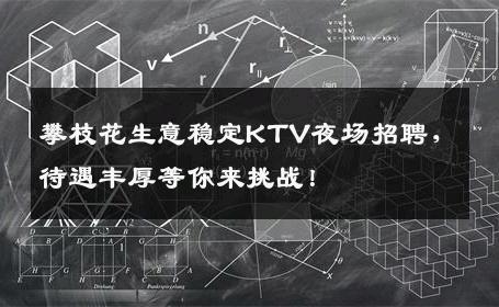 攀枝花生意稳定KTV夜场招聘，待遇丰厚等你来挑战！