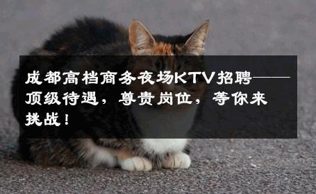 成都高档商务夜场KTV招聘——顶级待遇，尊贵岗位，等你来挑战！