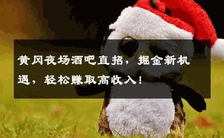 黄冈夜场酒吧直招，掘金新机遇，轻松赚取高收入！