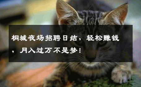 桐城夜场招聘日结，轻松赚钱，月入过万不是梦！