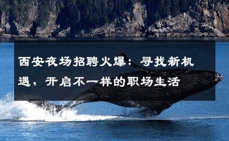 西安夜场招聘火爆：寻找新机遇，开启不一样的职场生活