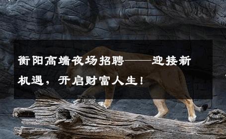 衡阳高端夜场招聘——迎接新机遇，开启财富人生！
