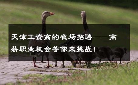 天津工资高的夜场招聘——高薪职业机会等你来挑战！