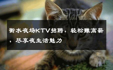 衡水夜场KTV招聘，轻松赚高薪，尽享夜生活魅力