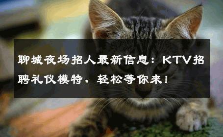 聊城夜场招人最新信息：KTV招聘礼仪模特，轻松等你来！