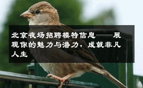 北京夜场招聘模特信息——展现你的魅力与潜力，成就非凡人生