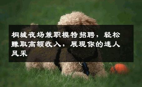 桐城夜场兼职模特招聘，轻松赚取高额收入，展现你的迷人风采