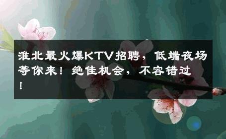 淮北最火爆KTV招聘，低端夜场等你来！绝佳机会，不容错过！
