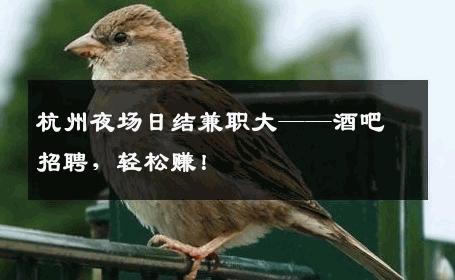 杭州夜场日结兼职大——酒吧招聘，轻松赚！